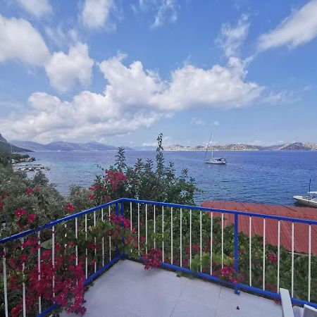Mavi Akvaryum Pension Hotell Sogut  Exteriör bild