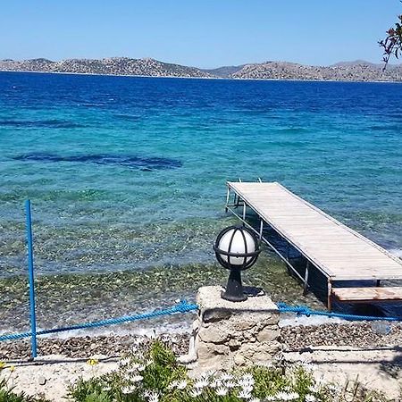 Mavi Akvaryum Pension Hotell Sogut  Exteriör bild