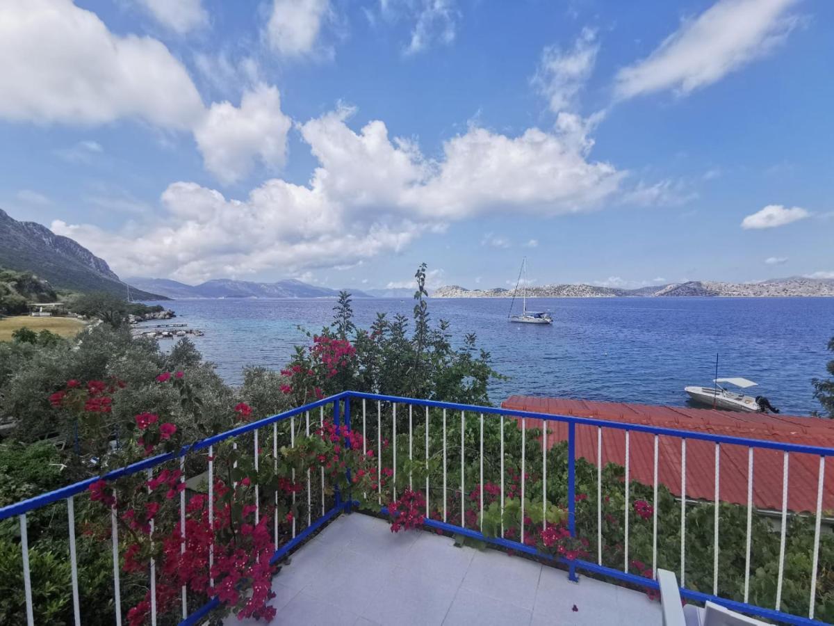 Mavi Akvaryum Pension Hotell Sogut  Exteriör bild