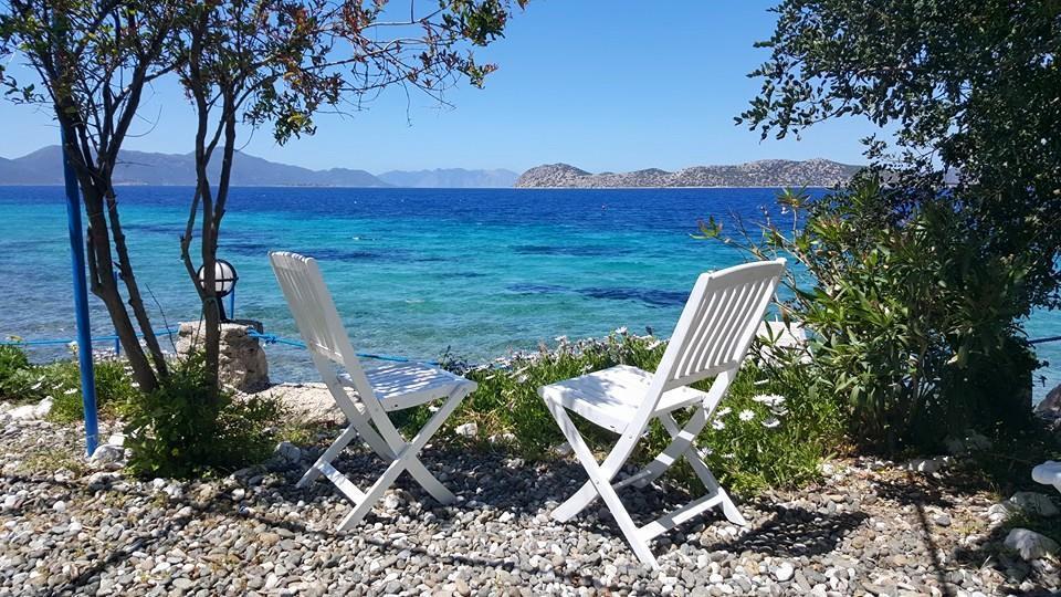Mavi Akvaryum Pension Hotell Sogut  Exteriör bild