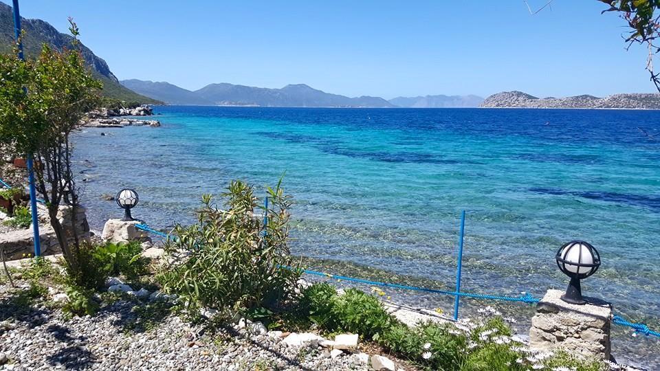 Mavi Akvaryum Pension Hotell Sogut  Exteriör bild