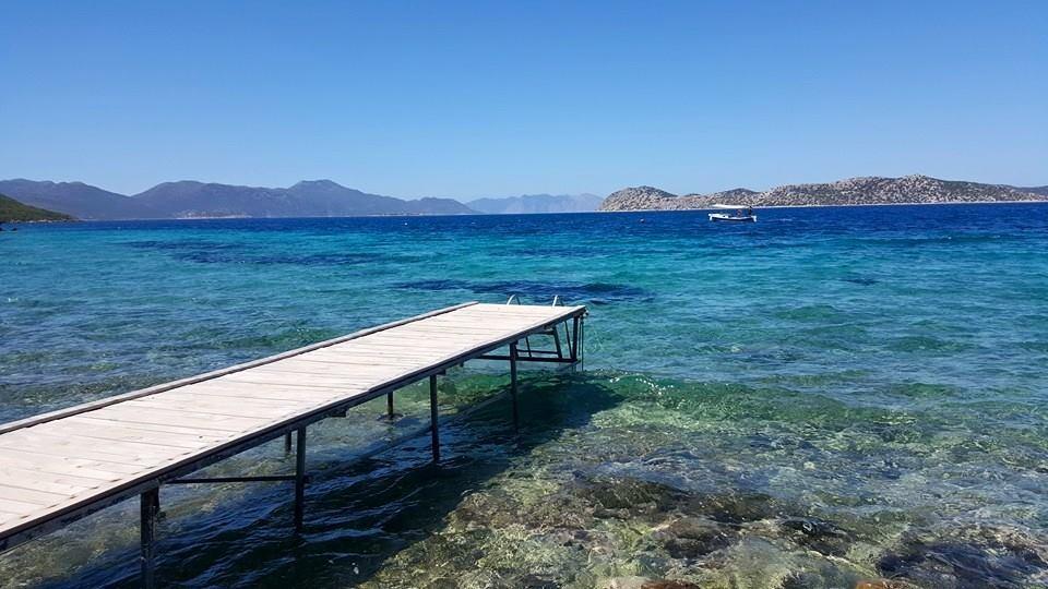 Mavi Akvaryum Pension Hotell Sogut  Exteriör bild