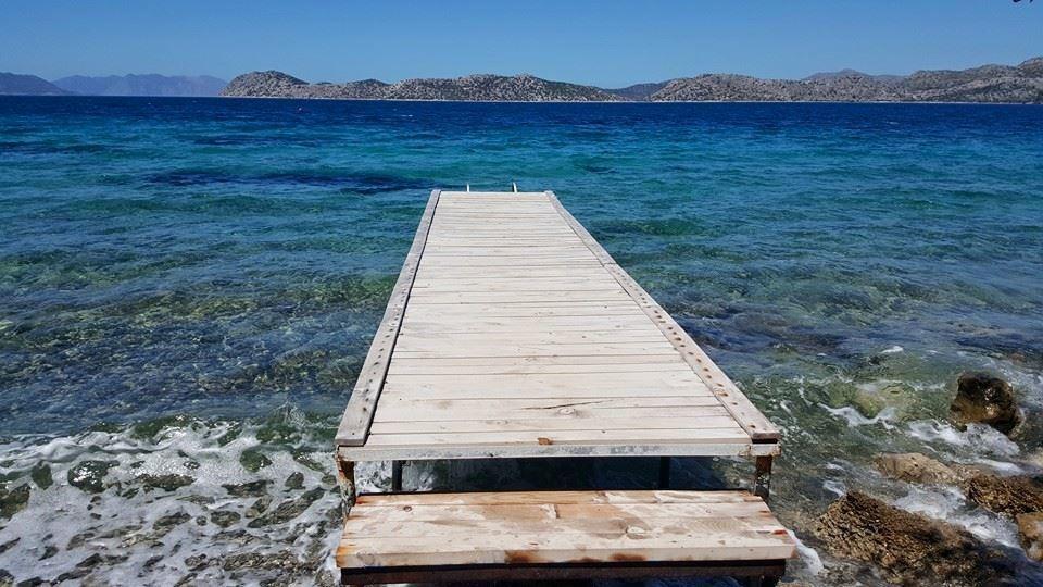 Mavi Akvaryum Pension Hotell Sogut  Exteriör bild