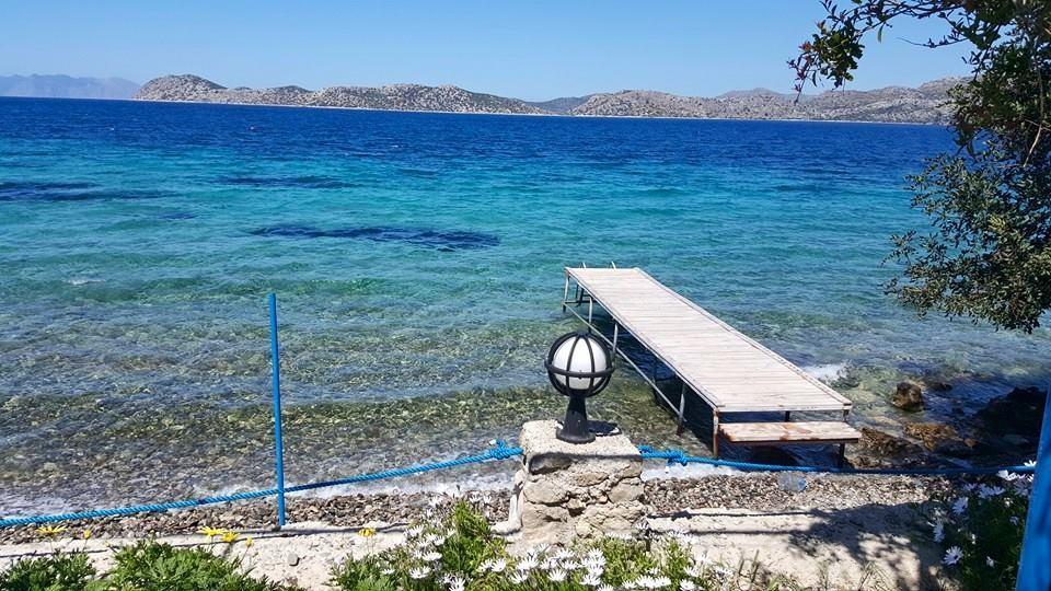 Mavi Akvaryum Pension Hotell Sogut  Exteriör bild