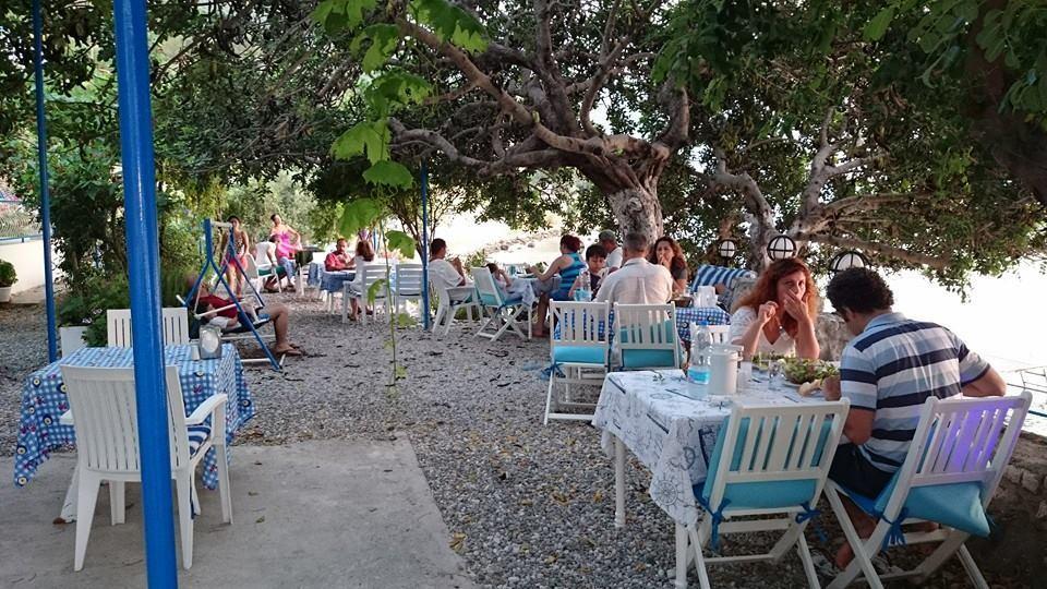 Mavi Akvaryum Pension Hotell Sogut  Exteriör bild
