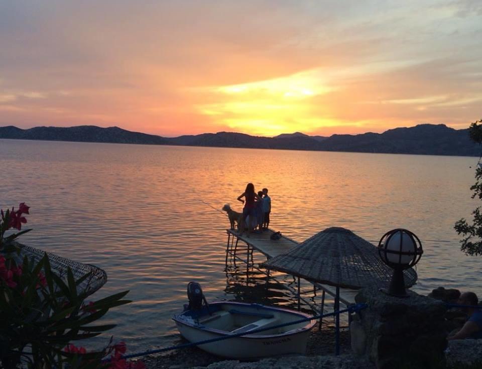 Mavi Akvaryum Pension Hotell Sogut  Exteriör bild