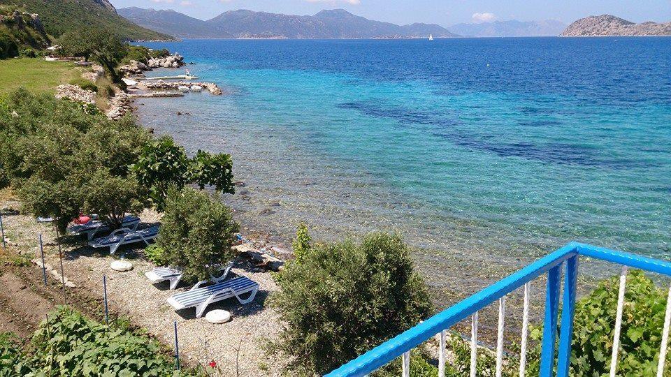 Mavi Akvaryum Pension Hotell Sogut  Exteriör bild