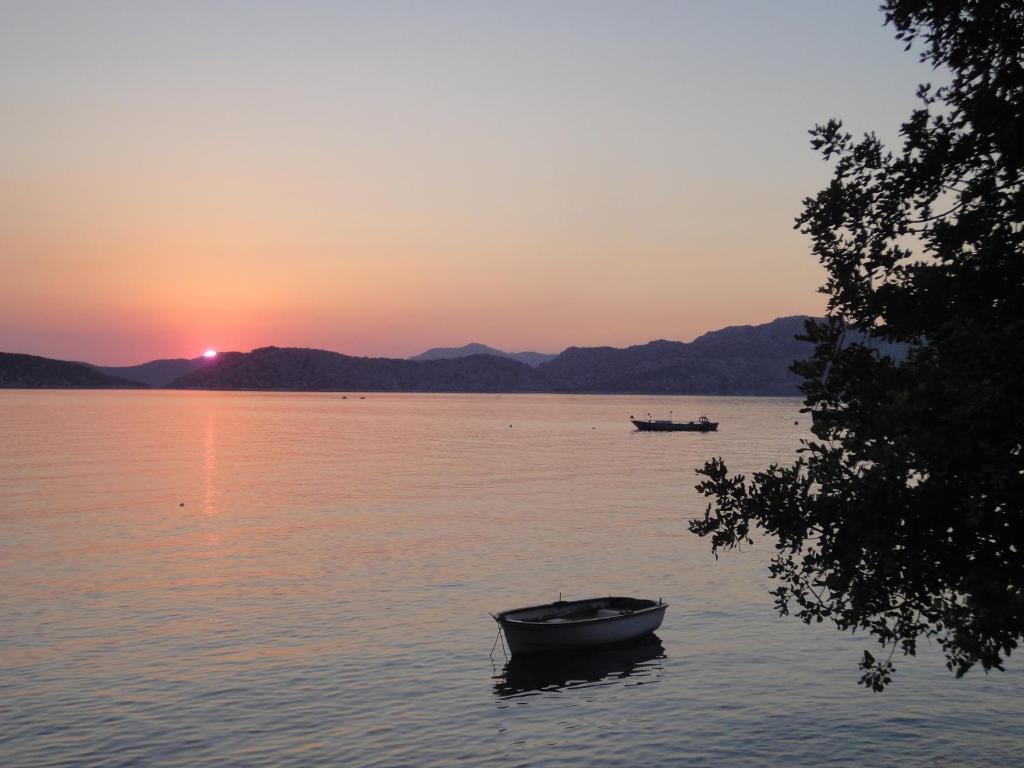 Mavi Akvaryum Pension Hotell Sogut  Exteriör bild