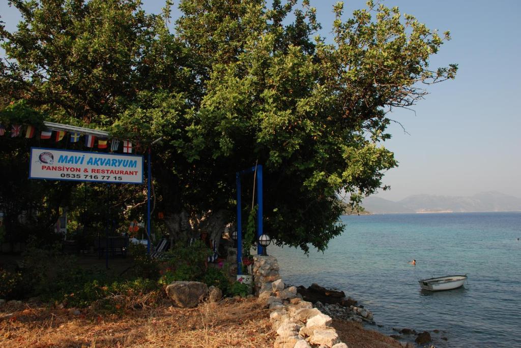 Mavi Akvaryum Pension Hotell Sogut  Exteriör bild